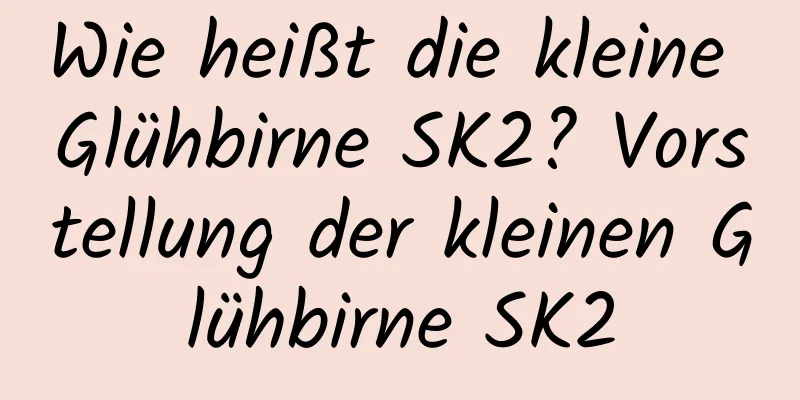 Wie heißt die kleine Glühbirne SK2? Vorstellung der kleinen Glühbirne SK2