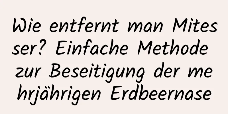 Wie entfernt man Mitesser? Einfache Methode zur Beseitigung der mehrjährigen Erdbeernase