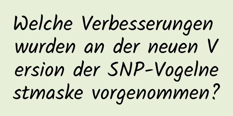 Welche Verbesserungen wurden an der neuen Version der SNP-Vogelnestmaske vorgenommen?