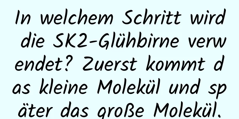 In welchem ​​Schritt wird die SK2-Glühbirne verwendet? Zuerst kommt das kleine Molekül und später das große Molekül.