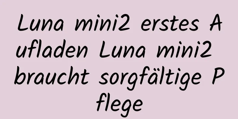 Luna mini2 erstes Aufladen Luna mini2 braucht sorgfältige Pflege