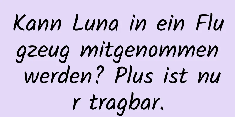 Kann Luna in ein Flugzeug mitgenommen werden? Plus ist nur tragbar.