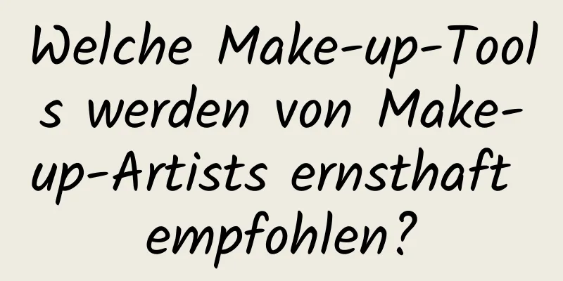 Welche Make-up-Tools werden von Make-up-Artists ernsthaft empfohlen?