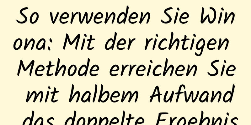 So verwenden Sie Winona: Mit der richtigen Methode erreichen Sie mit halbem Aufwand das doppelte Ergebnis