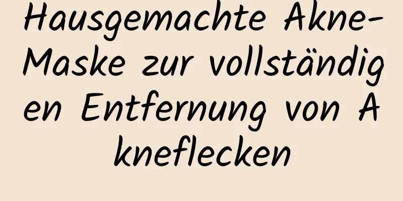 Hausgemachte Akne-Maske zur vollständigen Entfernung von Akneflecken