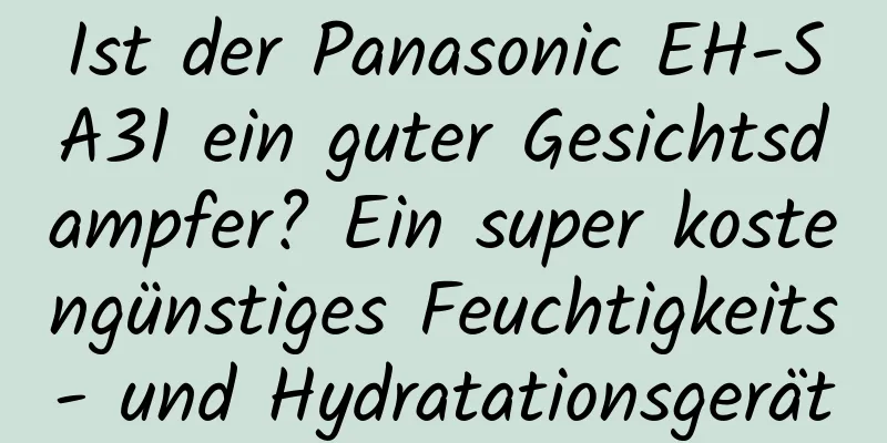 Ist der Panasonic EH-SA31 ein guter Gesichtsdampfer? Ein super kostengünstiges Feuchtigkeits- und Hydratationsgerät
